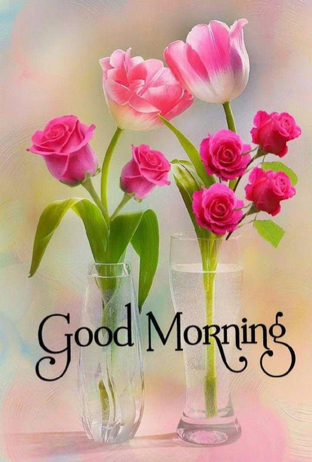 Gujarati Thought by Shital Malani : 111833241