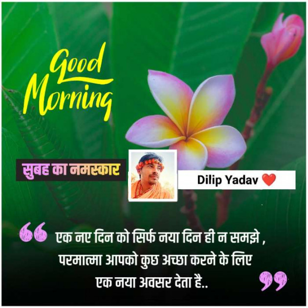 English Good Morning by Dilip Yadav : 111833596