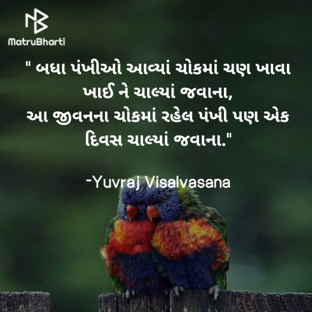 Gujarati Shayri by Yuvraj Visalvasana : 111833759