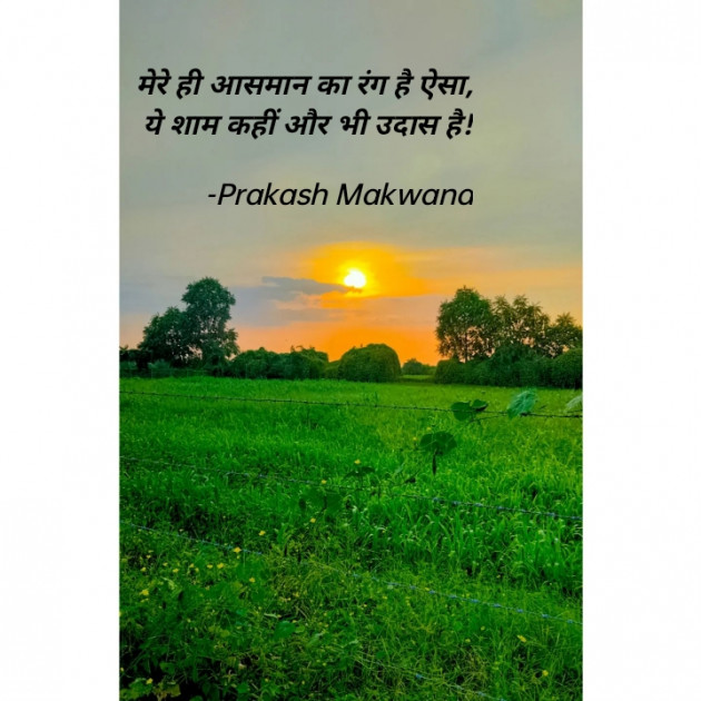 Hindi Good Evening by Prakash Makwana : 111833906
