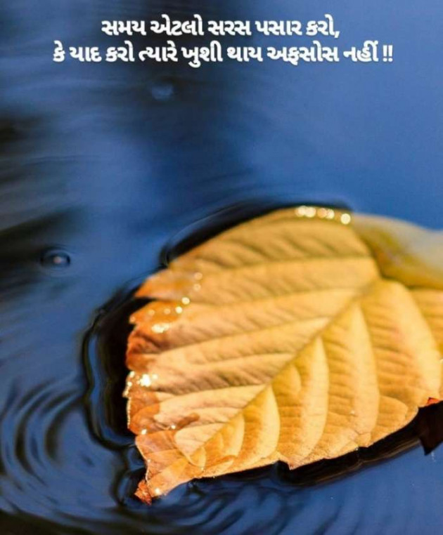 Gujarati Whatsapp-Status by Zala Jayvirsinh : 111834030