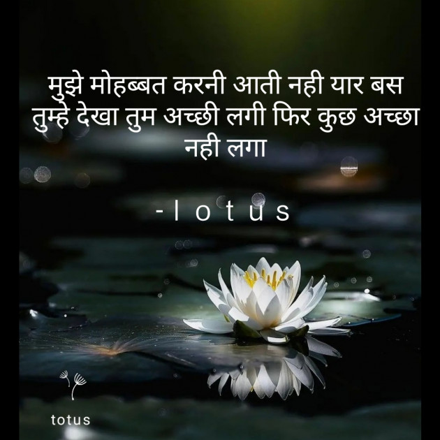 Hindi Good Evening by Lotus : 111834115
