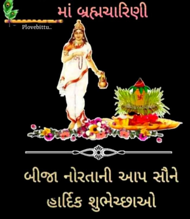 Gujarati Whatsapp-Status by Zala Jayvirsinh : 111834649