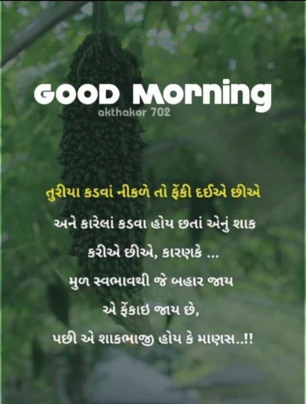 Gujarati Good Morning by mim Patel : 111835179