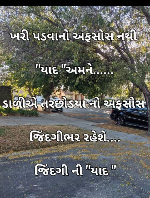 Gujarati Whatsapp-Status by Tr Ajit : 111835200