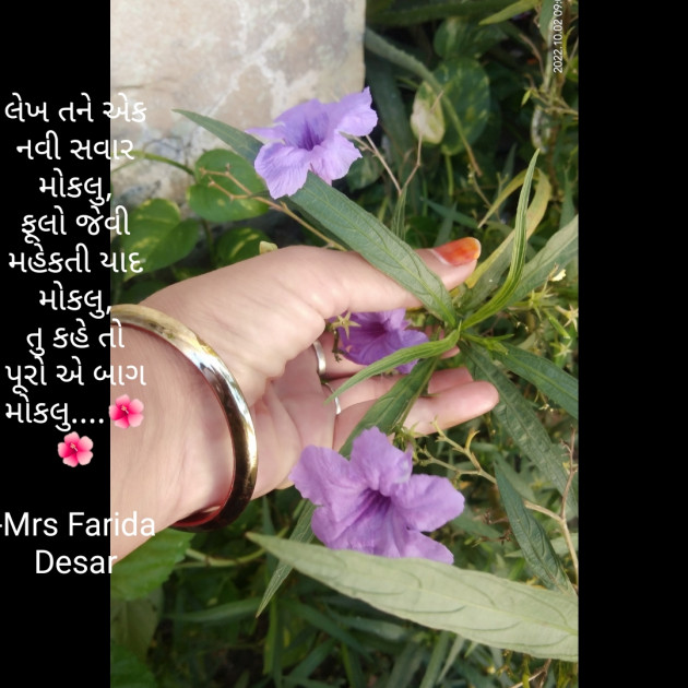 Gujarati Good Morning by Mrs Farida Desar : 111835528