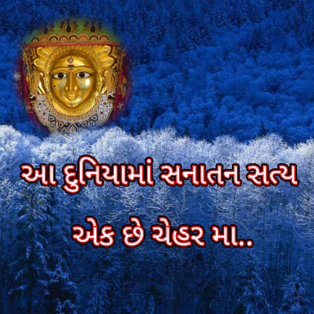 Gujarati Whatsapp-Status by Bhavna Bhatt : 111836358