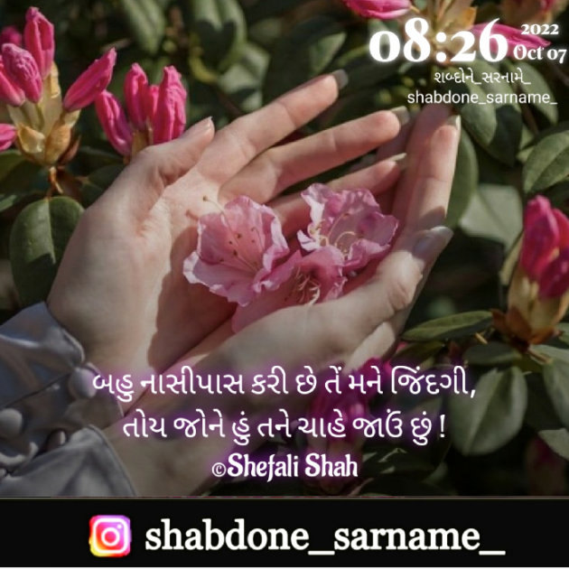 Gujarati Whatsapp-Status by Shefali : 111836363