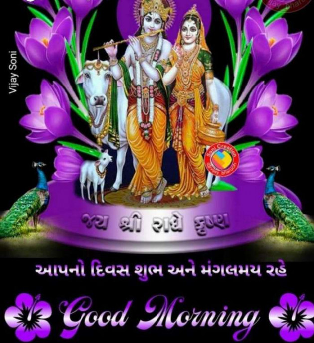 Gujarati Whatsapp-Status by Zala Jayvirsinh : 111836721