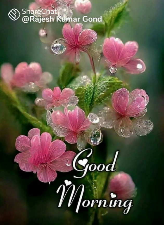 Hindi Quotes by anuradha jain : 111836727
