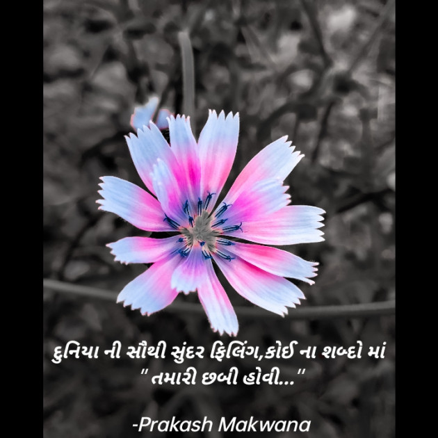 Gujarati Shayri by Prakash Makwana : 111837387