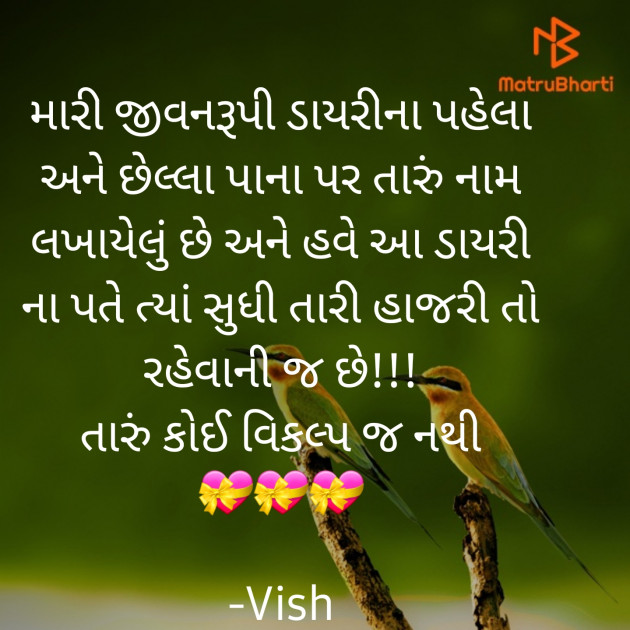 Gujarati Romance by Vish : 111837543