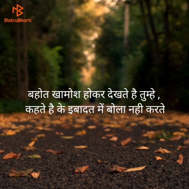 Hindi Shayri by PUNIT SONANI 