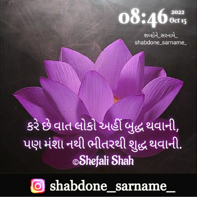 Gujarati Whatsapp-Status by Shefali : 111838003