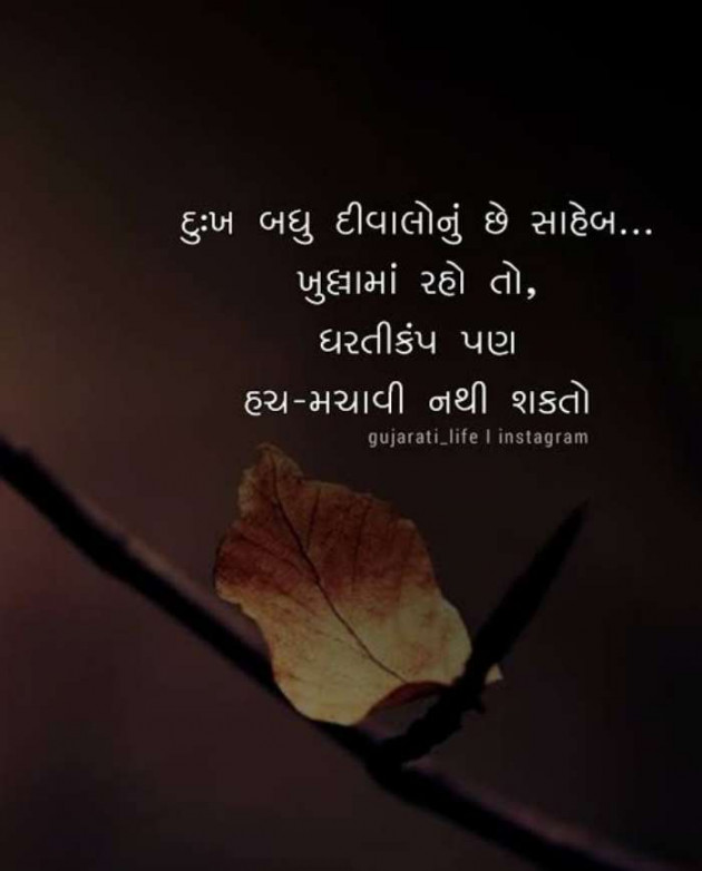 Gujarati Whatsapp-Status by Zala Jayvirsinh : 111838172