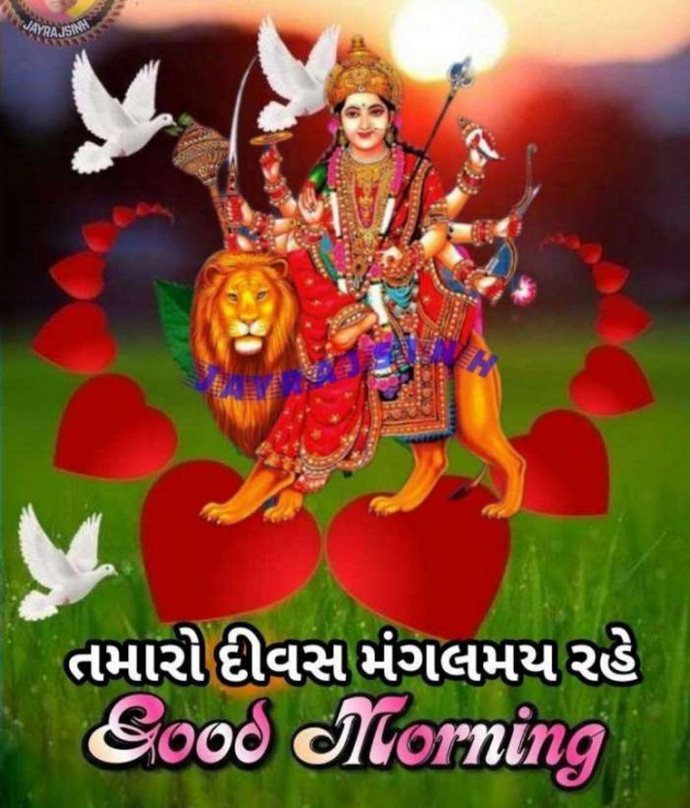 Gujarati Whatsapp-Status by Zala Jayvirsinh : 111838272