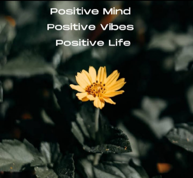 English Motivational by Hiral D. Rathod : 111838708