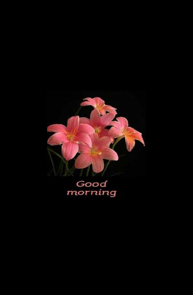 Hindi Quotes by RACHNA ROY : 111838862