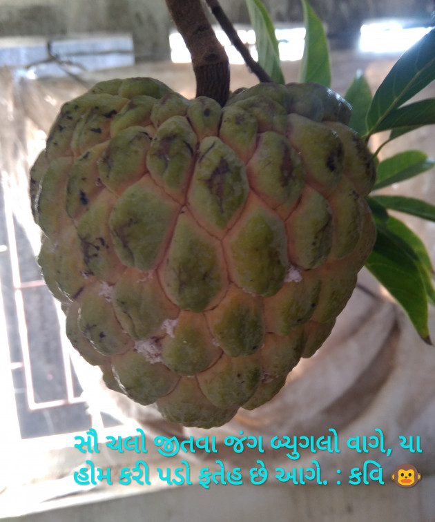 English Blog by Mbhh : 111839014