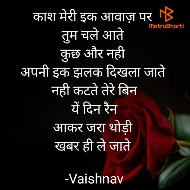 Hindi Blog by Vaishnav : 111839553