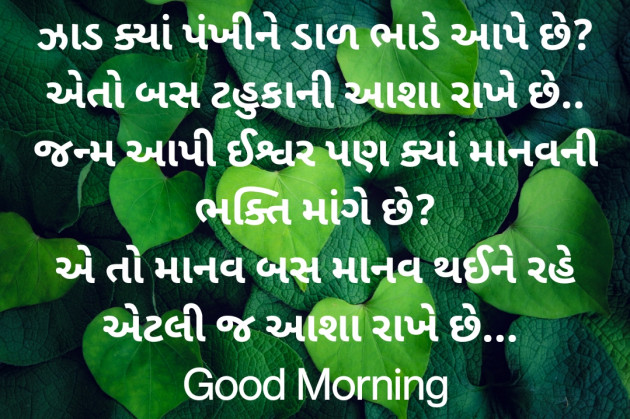 Gujarati Good Morning by Nirav Devani : 111840005