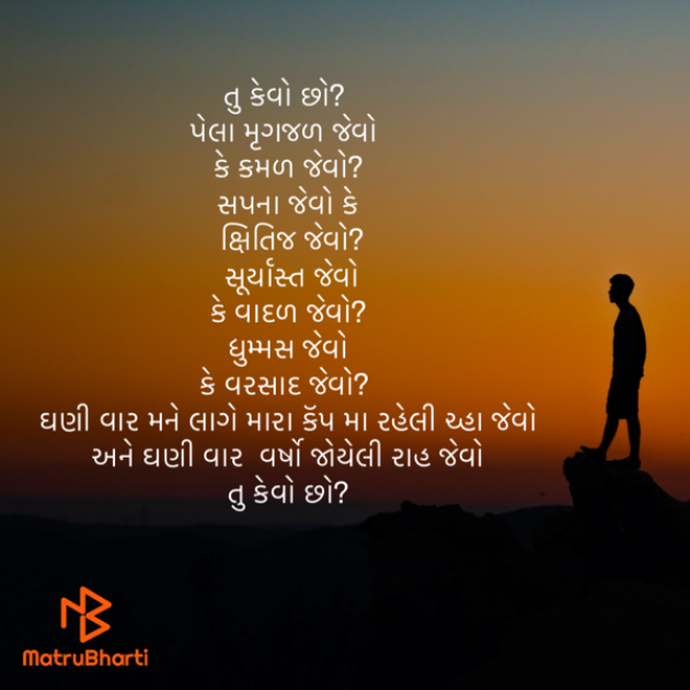 Gujarati Microfiction by Nidhi kothari : 111840063