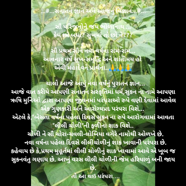 Gujarati Blog by Kamlesh : 111840098