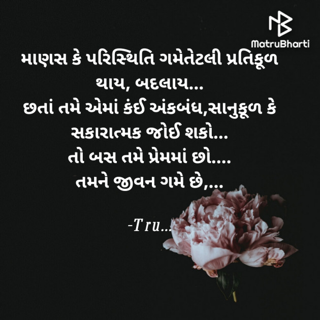 Gujarati Whatsapp-Status by Tru... : 111840586