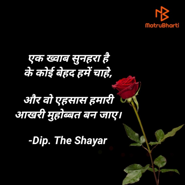 Hindi Shayri by Dip. The Shayar : 111841542