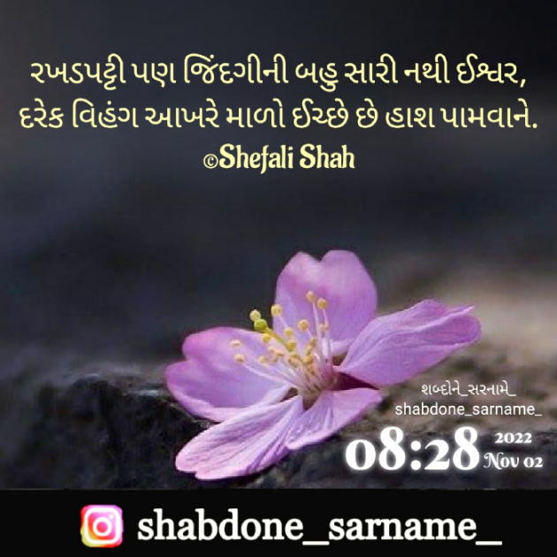 Gujarati Whatsapp-Status by Shefali : 111841569