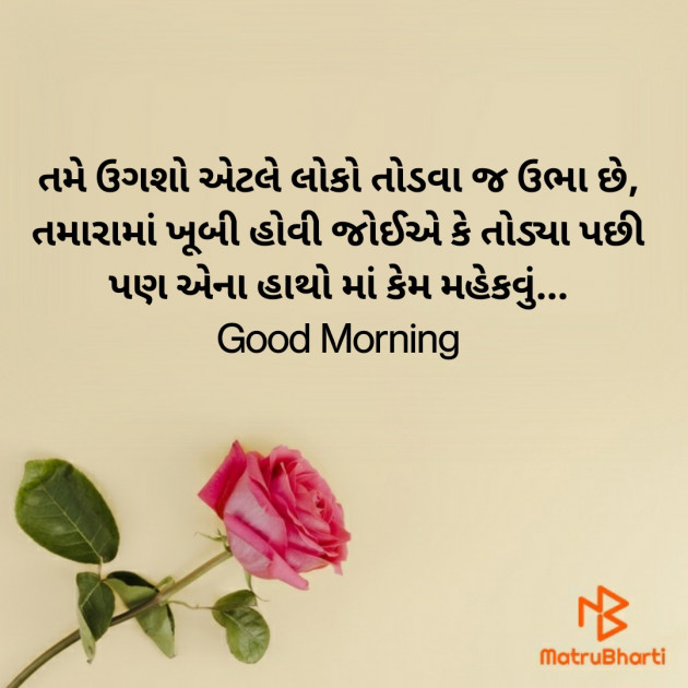 Gujarati Good Morning by Nirav Devani : 111841790