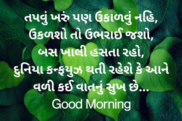 Gujarati Good Morning by Nirav Devani : 111841965