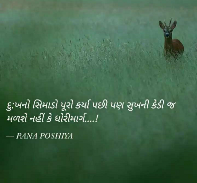 Gujarati Quotes by R G POSHIYA : 111842361