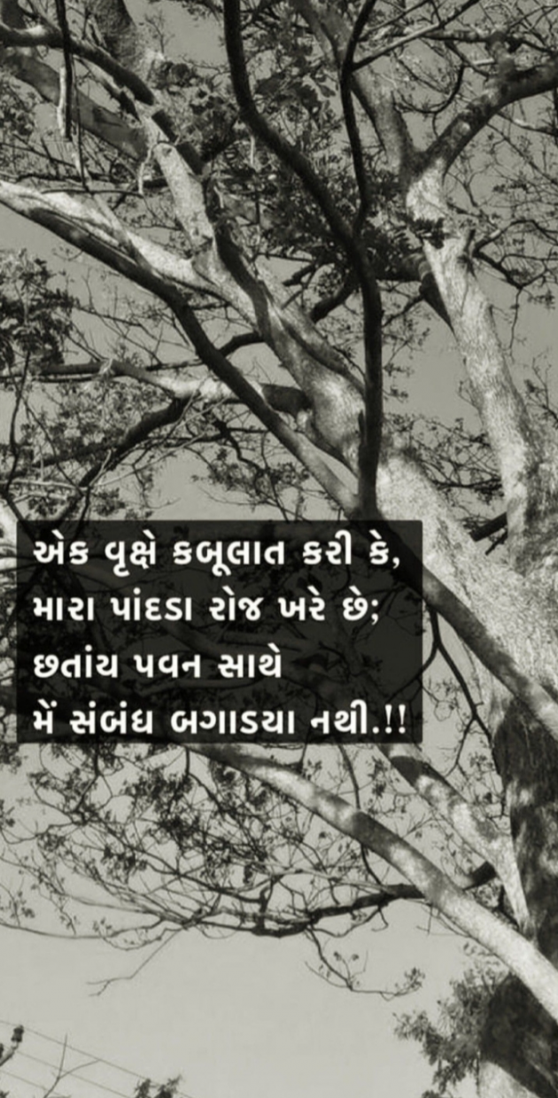 Gujarati Whatsapp-Status by Jigna Pandya : 111842413