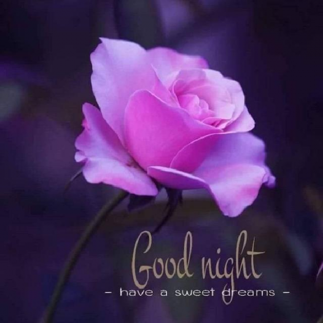Hindi Quotes by Gj Jg : 111842495