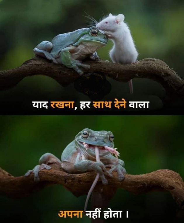 Hindi Quotes by Gj Jg : 111842496