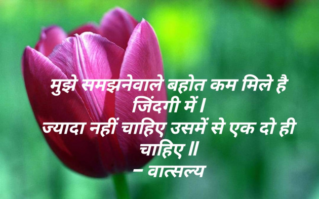Hindi Whatsapp-Status by वात्सल्य : 111842698