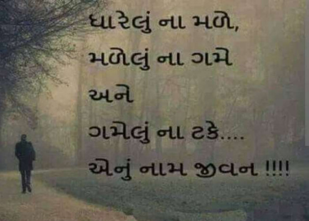 Gujarati Whatsapp-Status by Zala Jayvirsinh : 111842708