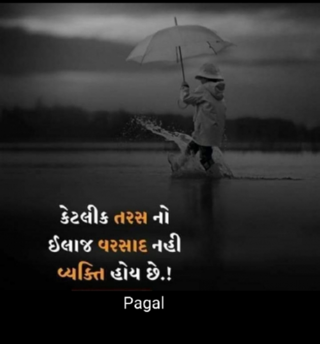 Gujarati Whatsapp-Status by Pagal : 111842816