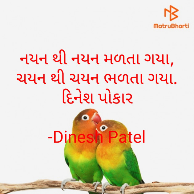 Gujarati Shayri by Dinesh Patel : 111843194