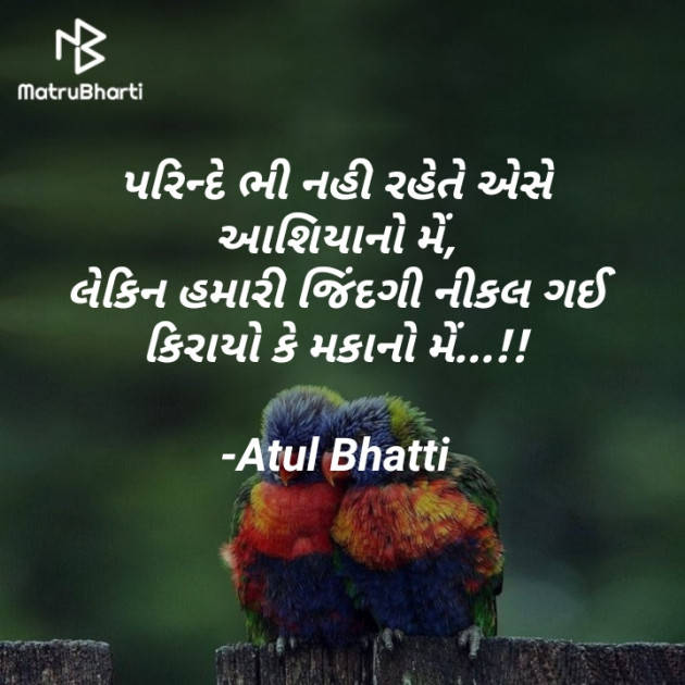 Gujarati Shayri by Atul Bhatti : 111843499