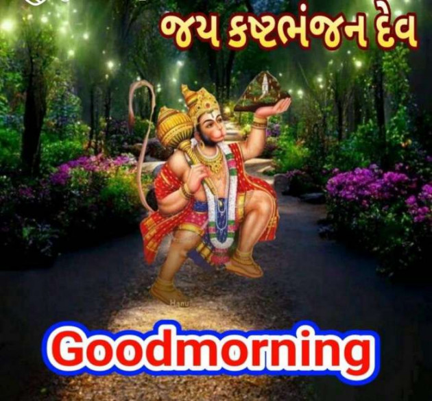 Gujarati Whatsapp-Status by Zala Jayvirsinh : 111843643