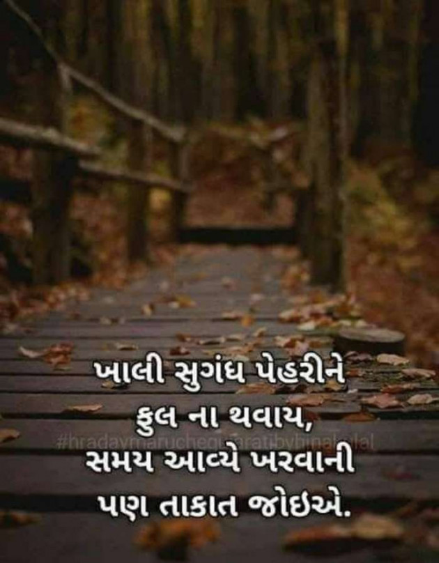 Gujarati Whatsapp-Status by Zala Jayvirsinh : 111843914