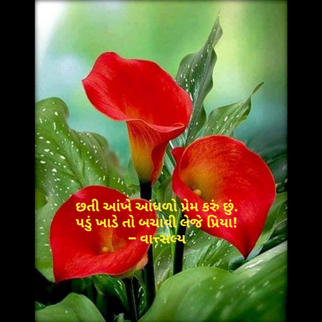 Gujarati Shayri by वात्सल्य : 111843941