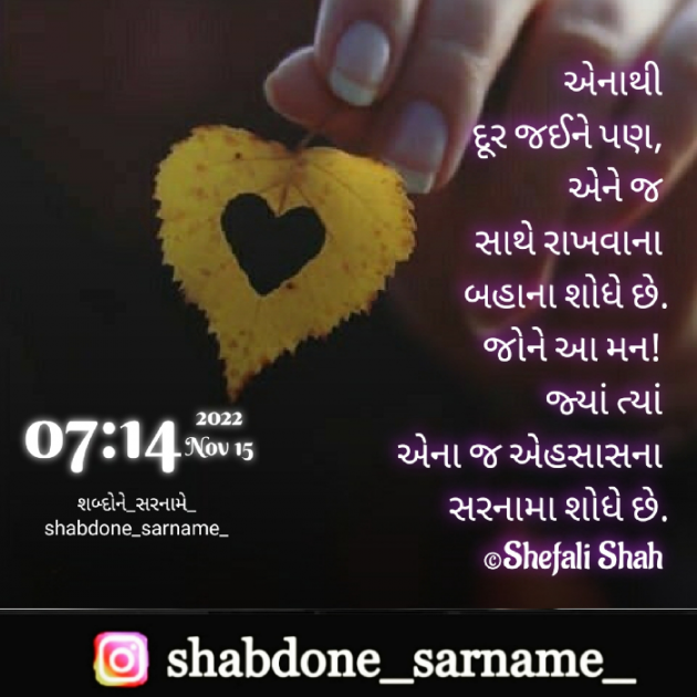 Gujarati Whatsapp-Status by Shefali : 111844286