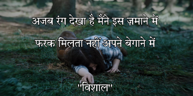 Hindi Shayri by Vishal : 111844656