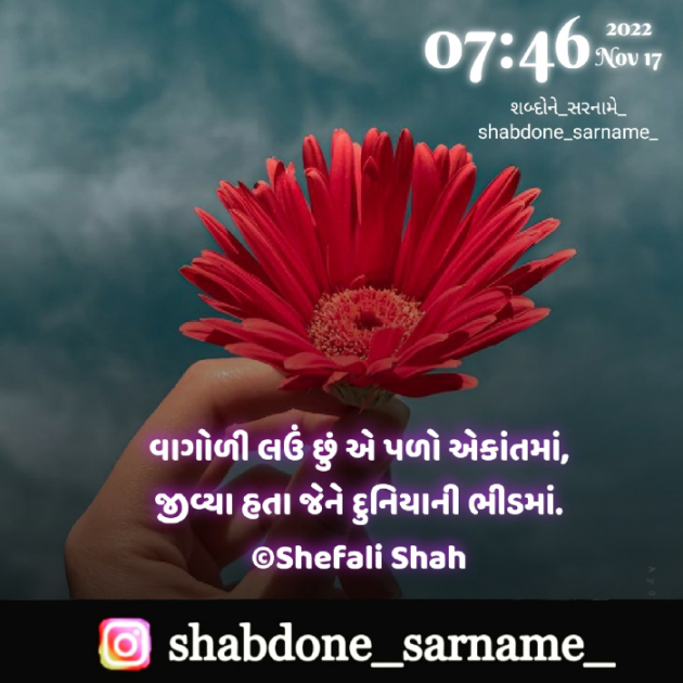 Gujarati Whatsapp-Status by Shefali : 111844692