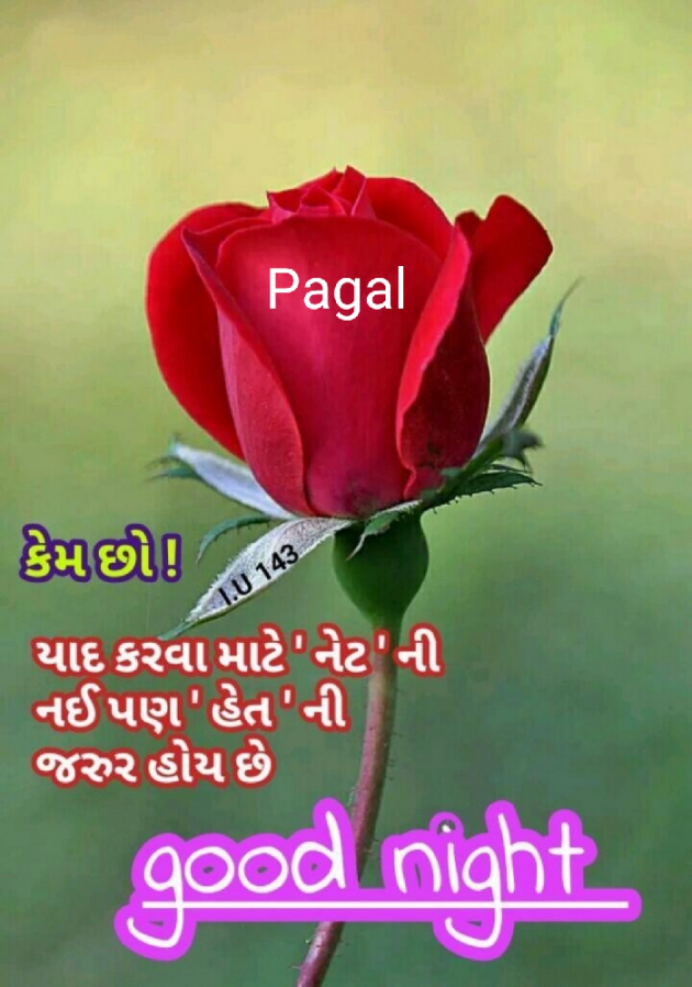 Gujarati Whatsapp-Status by Pagal : 111844849