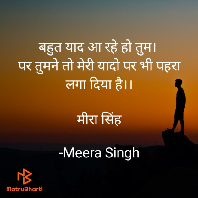 Hindi Blog by Meera Singh : 111845251