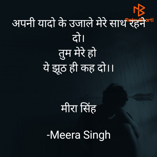 Hindi Blog by Meera Singh : 111845253